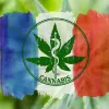 Francia ya tiene proveedores de cannabis medicinal para su programa piloto