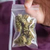 El 60% de la marihuana callejera de Madrid no es apta para consumo según un estudio