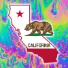 El Senado de California aprueba la legalización de los psicodélicos