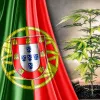 El Parlamento de Portugal discute la regulación integral del cannabis