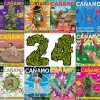 Cáñamo cumple 24 años al frente de la comunicación cannábica en España
