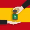 Expansión y represión del sector del CBD en España, un resumen del año