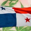 Asamblea Nacional de Panamá aprueba el proyecto de regulación del cannabis medicinal