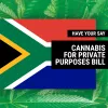 El Parlamento de Sudáfrica debate los límites de la futura ley sobre el uso y el autocultivo de cannabis 