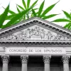 El cannabis ha llegado al Congreso español para quedarse