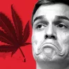 El PSOE adelanta que no apoyará la propuesta de ley sobre el cannabis que se vota esta tarde