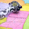 Mississippi se convierte en el 37º estado en regular el cannabis medicinal