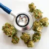 La subcomisión para estudiar el cannabis medicinal arrancará la próxima semana