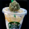 Las ventas de cannabis en EE UU superan a las de Starbucks 