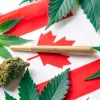 Las nuevas políticas de drogas en Canadá 
