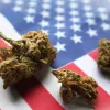 Los estadounidenses que consumen cannabis superan a los fumadores de tabaco