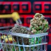 Los estadounidenses ya gastan más en cannabis legal que en chocolate o cerveza