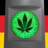 El Gobierno alemán aprueba la ley del cannabis para adultos