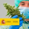 Iniciado el trámite para regular el cannabis medicinal