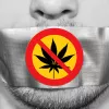 ¿Por qué la Ley Mordaza afecta más a los usuarios de cannabis?