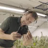Kassovitz: el cannabis sin tabúes