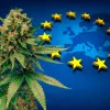 La Comisión Europea investigará porqué Italia pretende prohibir el CBD