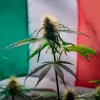 Un Tribunal italiano suspende la prohibición del CBD