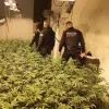 Endesa y los Mossos d’Esquadra utilizan Inteligencia Artificial para detectar cultivos de cannabis