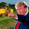 Donald Trump ataca a la industria del cáñamo