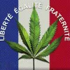 Francia avanza en su regulación sobre el cannabis medicinal