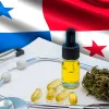 Lanzan en Panamá una plataforma para acelerar la implementación de la ley de cannabis medicinal