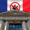 La Academia de Medicina de Francia insiste en la prohibición del cannabis