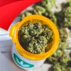 Panamá aprueba finalmente el reglamento que activa el uso medicinal del cannabis