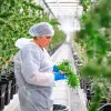 Tilray expande su presencia en Italia con cannabis medicinal