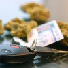 Consumidores diarios de cannabis muestran mínima alteración al conducir