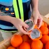 Hachís en las naranjas y pastillas en las galletas