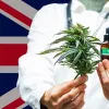 Se necesitan más profesionales en Reino Unido para el cannabis medicinal