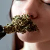 No solo los terpenos le dan su particular aroma al cannabis
