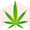 Hempcrete: soluciones ecológicas para un futuro sostenible