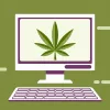 PubMed supera 53.000 referencias sobre “marijuana”