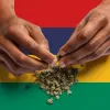 Mauricio abre revisión técnica de su legislación sobre cannabis