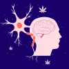 El cannabidiol reduce el dolor neuropático central