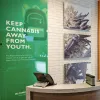 La venta legal de cannabis no está abriendo la puerta a menores de edad