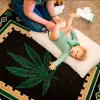 El cannabis prenatal ocasional no se asocia a peor cognición adolescente
