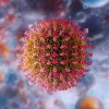 Un cannabinoide minoritario muestra potencial frente al sarampión