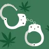 Las condenas federales por tráfico de cannabis se desploman en EE UU