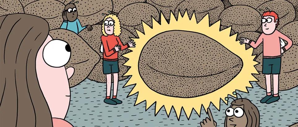 ¿Qué semillas compro? Guía para principiantes 