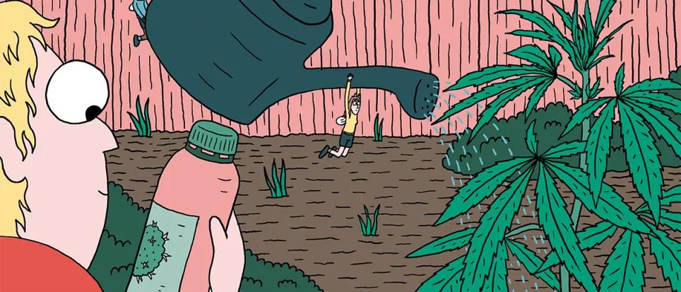 Alimentar las plantas para lograr la mejor cosecha: diez trucos para abonar como un experto 