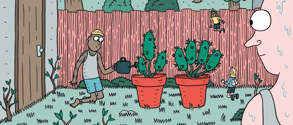 La marihuana en los meses de calor 
