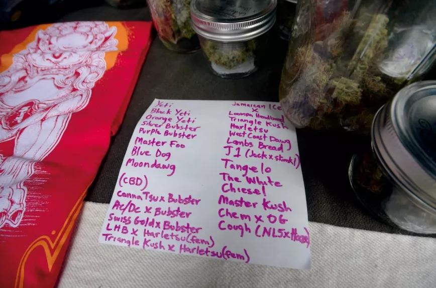 Muestras compitiendo por el gran jarrón conocido como Cannifest Bowl