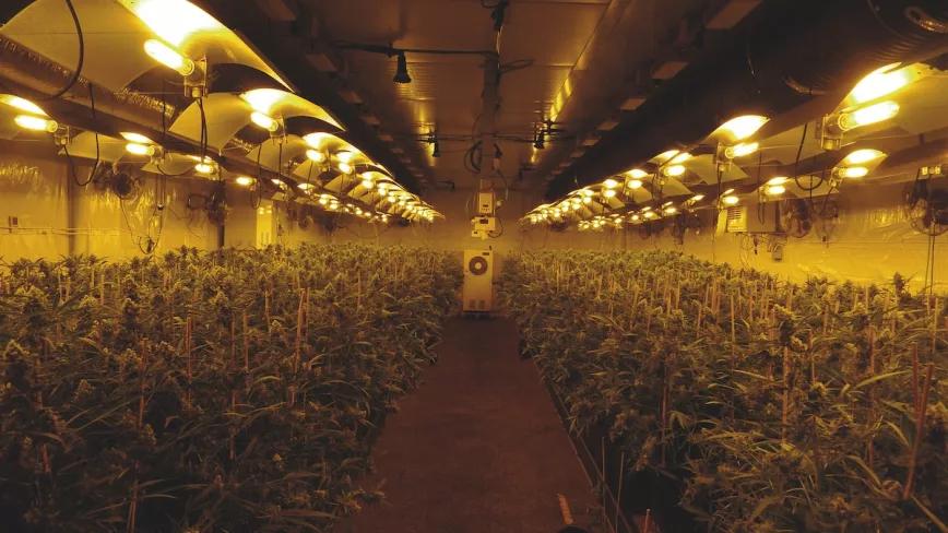 Las niñas después de comer