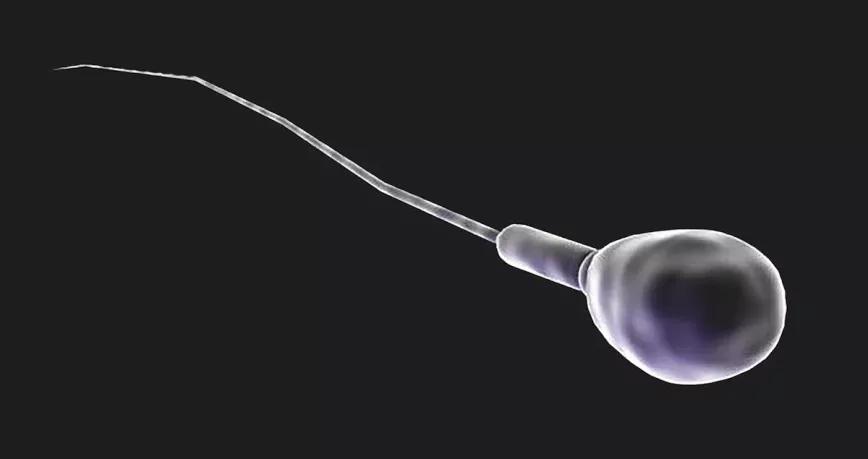 ¿Será verdad que la maría, como el verano, reduce la calidad del semen?