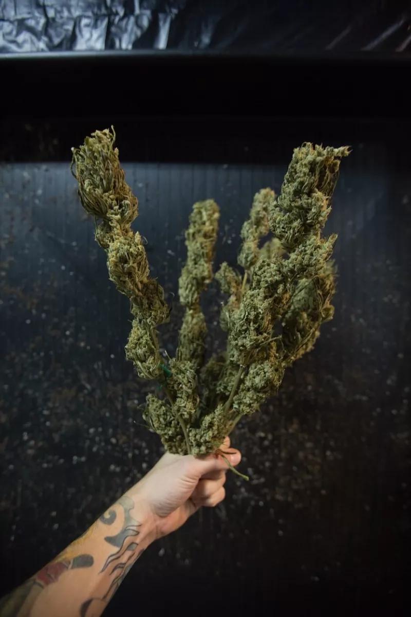 Un ramo de flores de los que le gustan a mi novia.