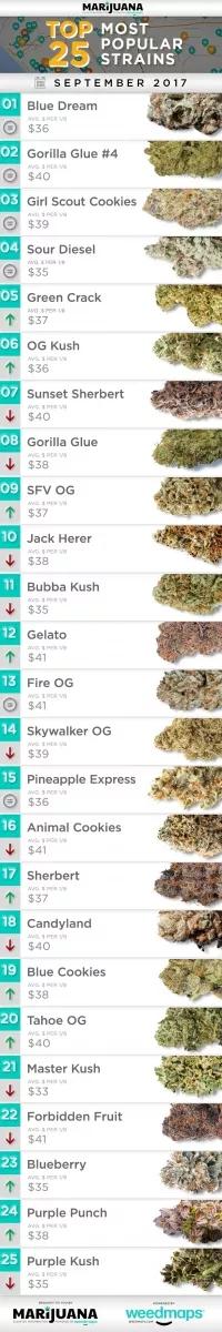 Mejores variedades de septiembre