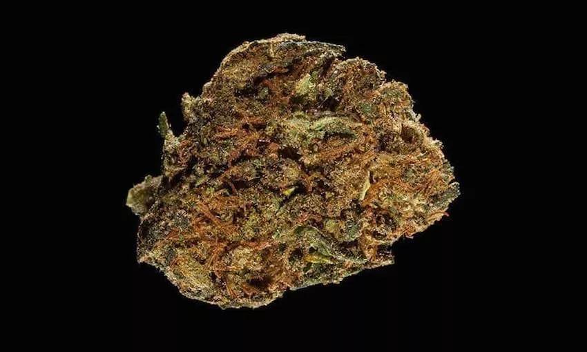 Harlequin Cannabis